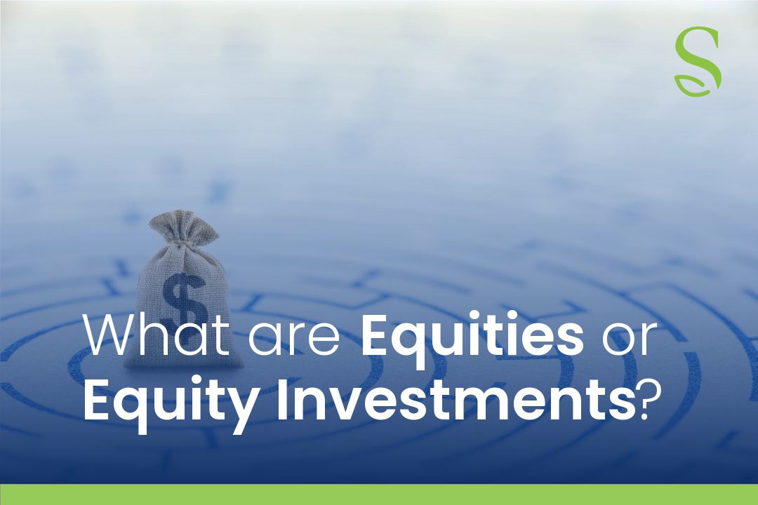 What are Equities or Equity Investments
